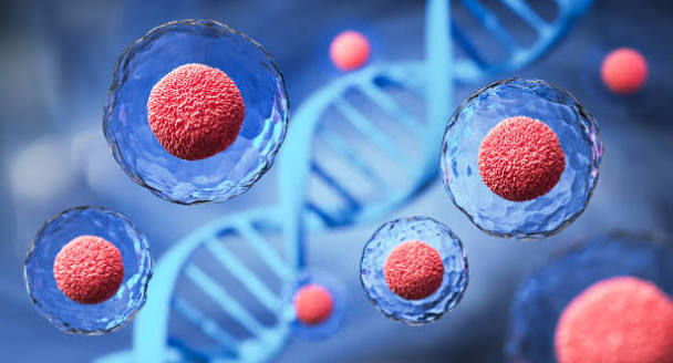 Microscopic view of stem cells with DNA helix in a clinical blue and coral palette